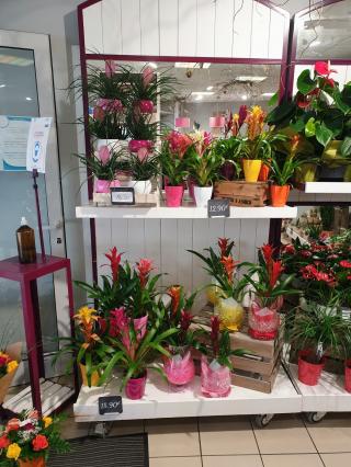 Fleuriste Coeur de Fleurs 0