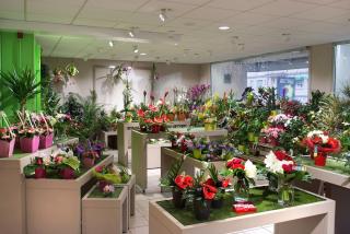 Fleuriste Le Jardin des Fleurs 0