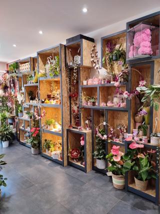 Fleuriste Le Jasmin Blanc 1