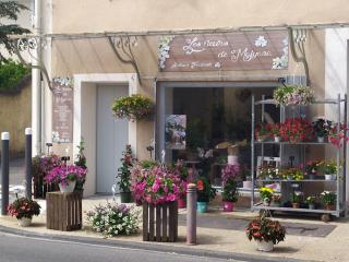 Fleuriste LES FLEURS DE MALYANA 0