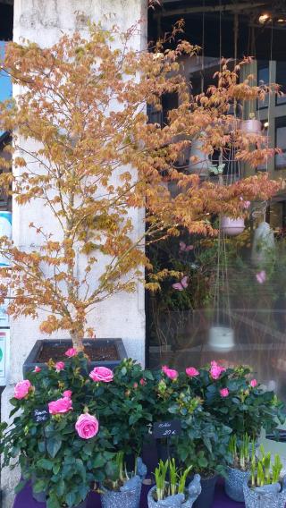 Fleuriste Atelier du Fleuriste 0