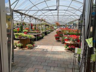 Fleuriste FLEURS ET PLANTES DU LAC 0