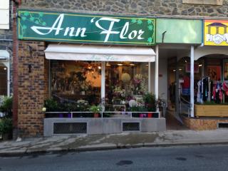 Fleuriste Ann Flor 0