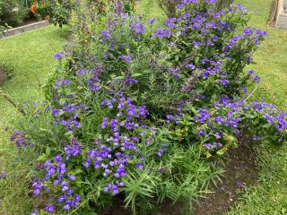 Fleuriste les Jardins de la Ferme 0