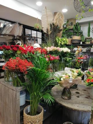 Fleuriste Terre de Jasmin (Basse-ville) 1