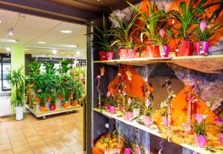 Fleuriste Passion Fleurs Clermont Ferrand 0
