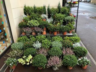 Fleuriste Pompes Funèbres Colliot - Marbrerie - Blanc-Mesnil - Ets Defer 2