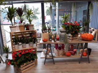 Fleuriste U Fleurs L'Atelier Ô Fleurs 1