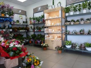Fleuriste Natura Flore Ozoir - Fleuriste 0