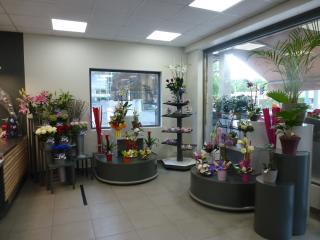 Fleuriste Natura Flore Ozoir - Fleuriste 0
