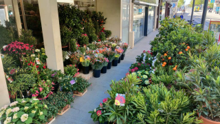 Fleuriste Tamaya JC Fleuriste Décorateur 0