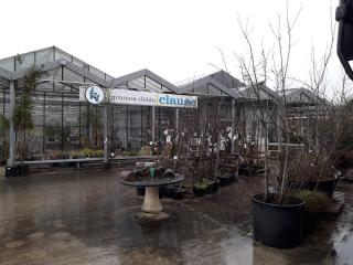 Fleuriste Les Floriades Sarl 0