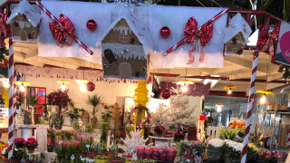 Fleuriste Le jardin Da'lys 0