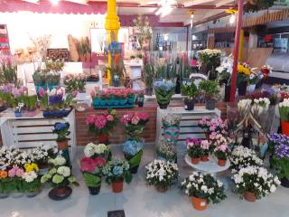 Fleuriste Le jardin Da'lys 0