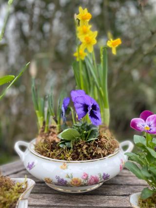 Fleuriste Les mots qui fleurissent 0