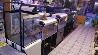 Fleuriste Aquarium Tropical 0