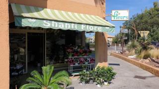 Fleuriste Shanti Flore 0