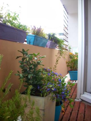 Fleuriste Fine Flore 0