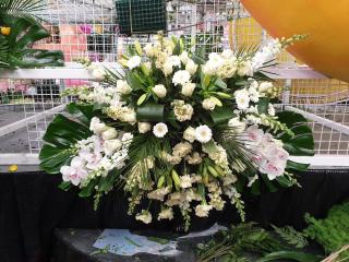 Fleuriste Cascade vegetale 0