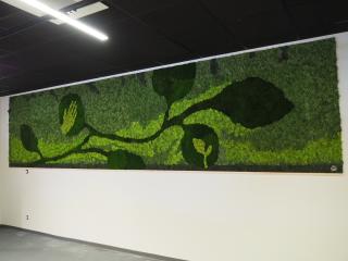 Fleuriste Écrin Végétal | Créations de plantes et végétaux stabilisés à Bouc-Bel-Air 0