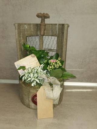 Fleuriste Le jardin des T 0