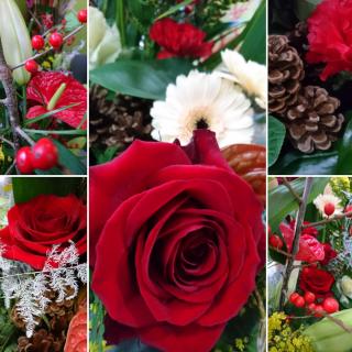 Fleuriste Amandine Fleurs 0