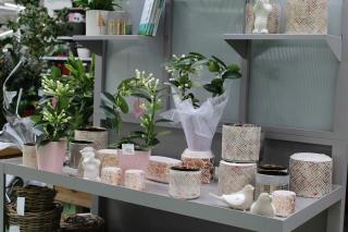 Fleuriste E.Leclerc Jardi 0