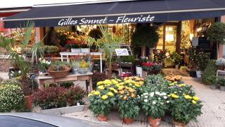 Fleuriste Gilles Sonnet | Fleuriste Fontaine-lès-Dijon 0