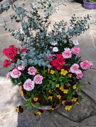 Fleuriste Roulliaux Patricia 0