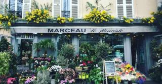 Fleuriste Marceau le fleuriste 0