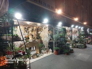 Fleuriste Eloi Fleurs, artisan fleuriste, Maisons-Alfort, Uber Eats 0