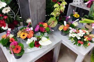 Fleuriste Plus de Fleurs - Chatte St Marcellin 0