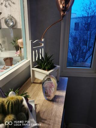 Fleuriste Les Fleurs de Claudel 1