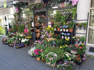 Fleuriste Les Fleurs de Claudel 0