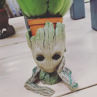 Fleuriste Les Amis Fleuris 0