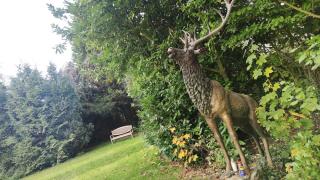 Fleuriste Votre jardin mon quotidien 0