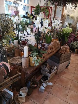 Fleuriste Couleur Pétale 2