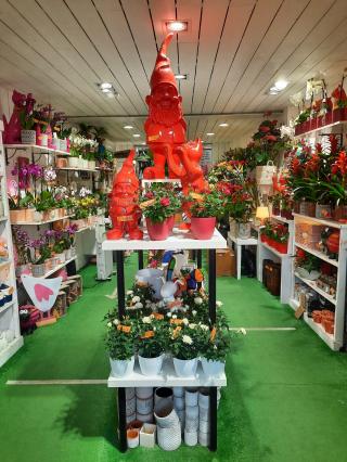 Fleuriste Tout Simplement Chez Lucie 0