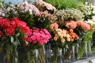 Fleuriste Orem fleurs 0