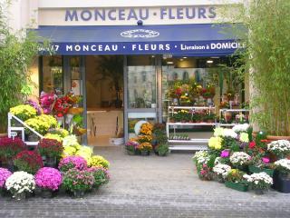 Fleuriste Monceau Fleurs 0