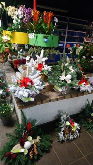 Fleuriste Rose de Lorraine 0