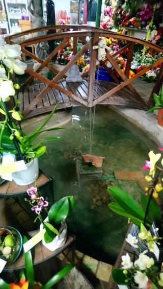 Fleuriste Rose de Lorraine 0