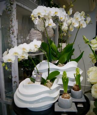 Fleuriste L COMME FLOWER 1