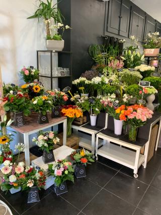 Fleuriste La Même Essence Pont de l'Arc 0