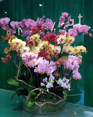 Fleuriste Orem fleurs 1