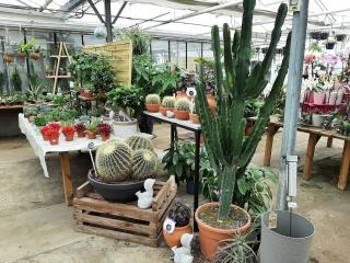 Fleuriste Les Serres de Rochy Condé 0