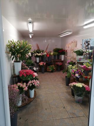 Fleuriste Les Serres de Rochy Condé 0