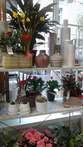 Fleuriste Aux Prairies Fleuries 0