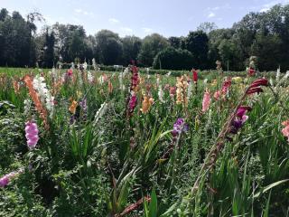 Fleuriste Libre Service Fleurs 0