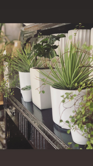 Fleuriste Art Fleurs, Artisan Fleuriste à Nantes 0